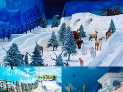 -世界之窗阿尔卑斯冰雪世界