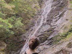 -梧桐山风景名胜区