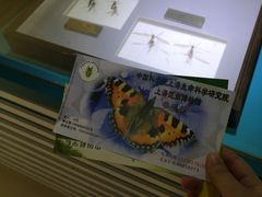 -上海昆虫博物馆