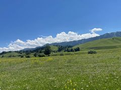 -新疆那拉提国家旅游度假区