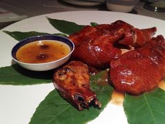 -梧桐餐厅(泉城路店)