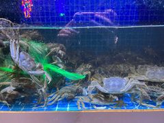 -花西亭·海鲜自助餐厅(瑞城名人酒店)