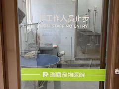 -瑞鹏宠物医院·骨科·猫科·内科(第一中心)