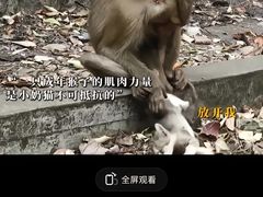 -昆明动物园