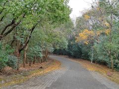 -上海海湾国家森林公园