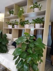 点击看大图 -CE·专业蛋白•羽毛接发·潮色烫染品牌店
