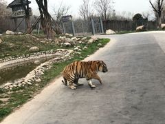 -西安秦岭野生动物园