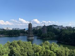 -桂林市花鸟市场