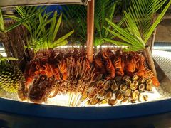 -亚龙湾希尔顿自助餐厅·海鲜·烧烤·沙滩BBQ·现场乐队