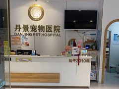 -丹景宠物医院·全科·老年病·牙科(武昌诊疗中心)