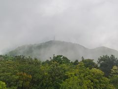 -深圳柯记餐厅(大望店)