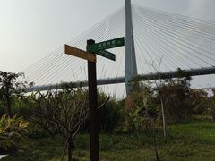 -芒洲湿地公园