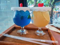 -柴犬高等学院·狗咖·柴犬售卖·宠物训练