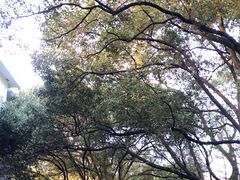 -杭州半山国家森林公园