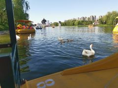 -西安汉城湖景区