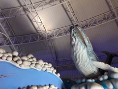 -烟台海昌鲸鲨海洋公园