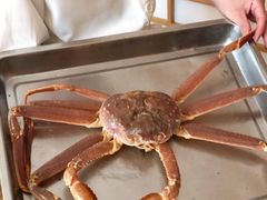 鲜活松叶蟹-綱元·海鲜豆捞(明州里店)