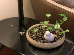 -希尔顿酒店·eforea spa水疗中心