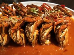 -桃花源中餐厅(金茂豪华精选酒店)
