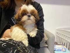 -红胖胖龙虾王·本地菜