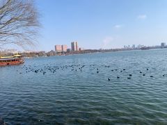 -济南大明湖景区