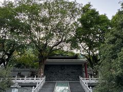 -鼎湖山风景区