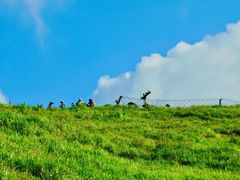 -萍乡武功山风景名胜区