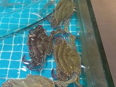 -梦都海鲜酒家(万达广场江桥店)