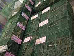 -荔城生鲜盛宴(番禺旗舰店)