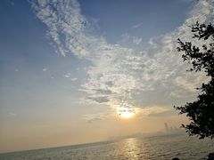 -深圳湾公园(南山区)