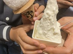 -野人先生现做冰淇淋(北京环宇荟店)