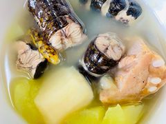 -苏州河梦清园环保主题公园