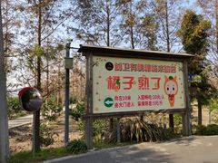 -上海长兴岛郊野公园