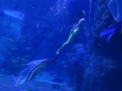 -左海海底世界