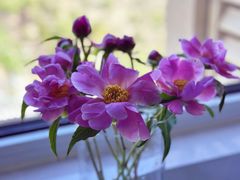 -DQ·蛋糕·冰淇淋(通州万达店)