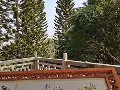 -深圳龙潭公园