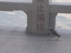 -筼筜书院