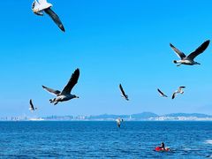 -大连海昌东方水城