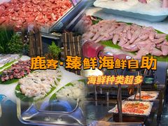 -鹿客·臻鲜海鲜自助餐厅(新塘万达广场店)