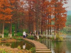 -重庆彩云湖湿地公园