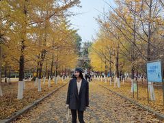 -长白岛森林公园