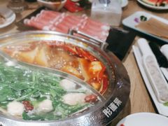 -彤德莱火锅(果园路店)