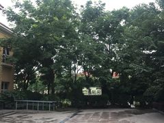 -青鹤谷(苏州店)