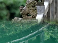 -鼎湖山风景区