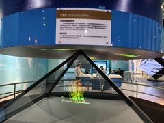 -湖南省科学技术馆