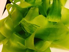 -蜀九香火锅(九眼桥店)