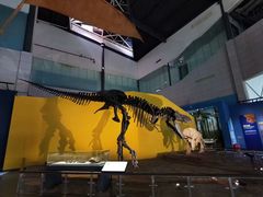 -湖南省地质博物馆