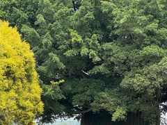 -神光山国家森林公园