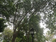 -映月湖公园