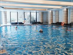 -海豚之星游泳俱乐部(喜来登馆)